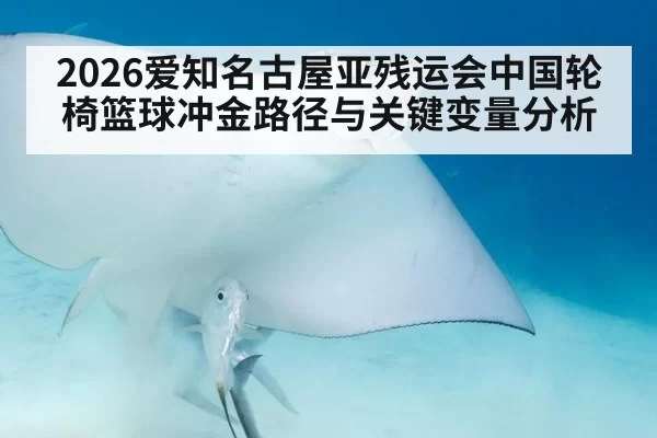 2026爱知名古屋亚残运会中国轮椅篮球冲金路径与关键变量分析
